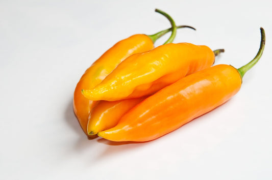 What is Aji Amarillo Pepper? - Savu Birra LLC