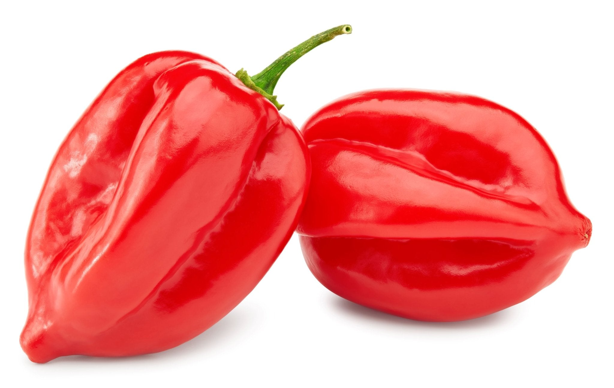 What is Habanero Chile Pepper? - Savu Birra LLC